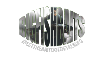 Big Fish Baits