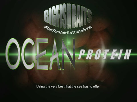 Ocean-Protein (Freezer)